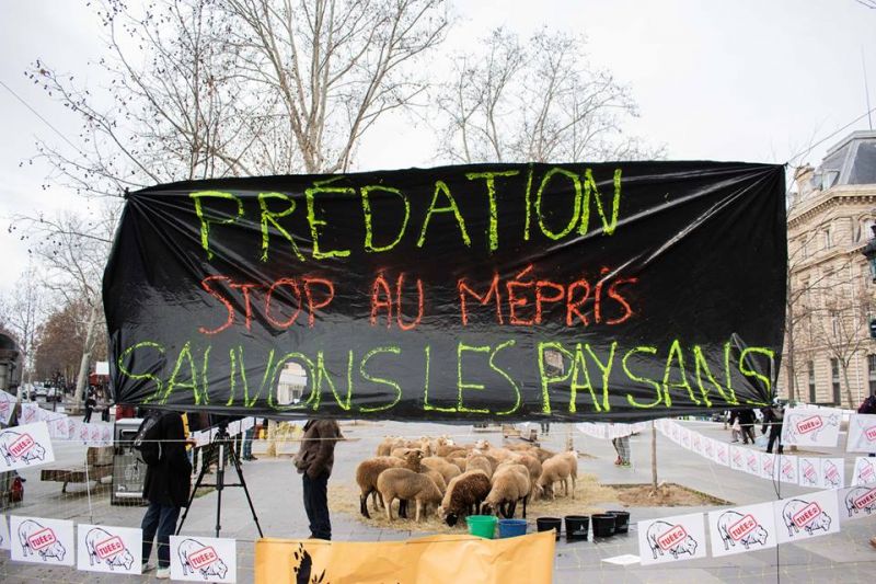 confédération paysanne ariège - prédation couserans ours